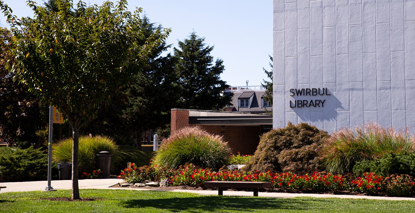 Swirbul Library