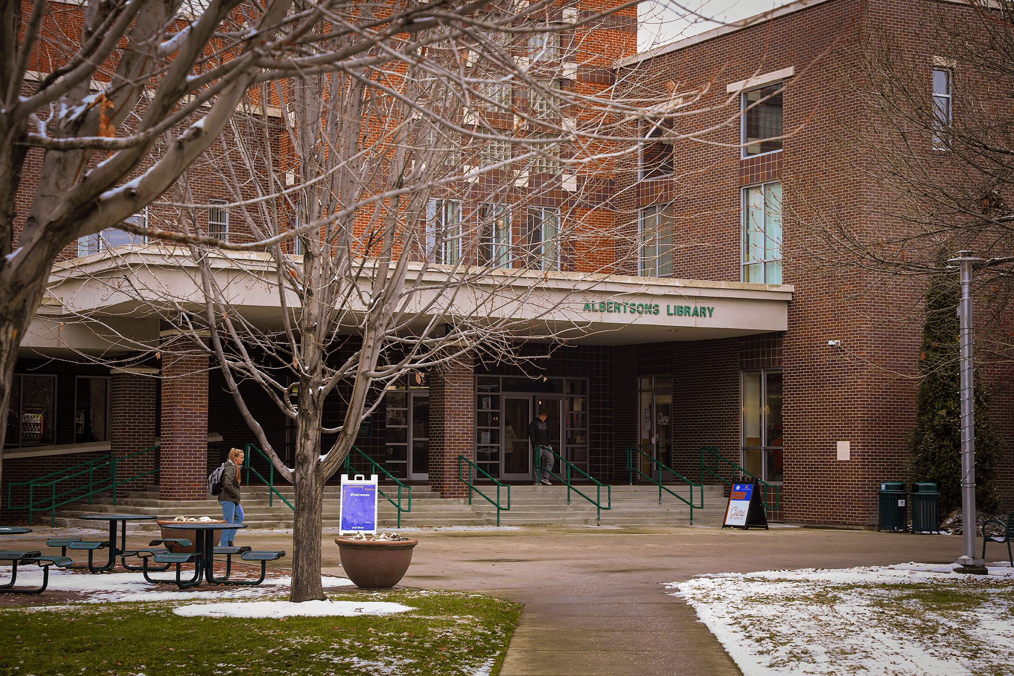 Albertsons Library