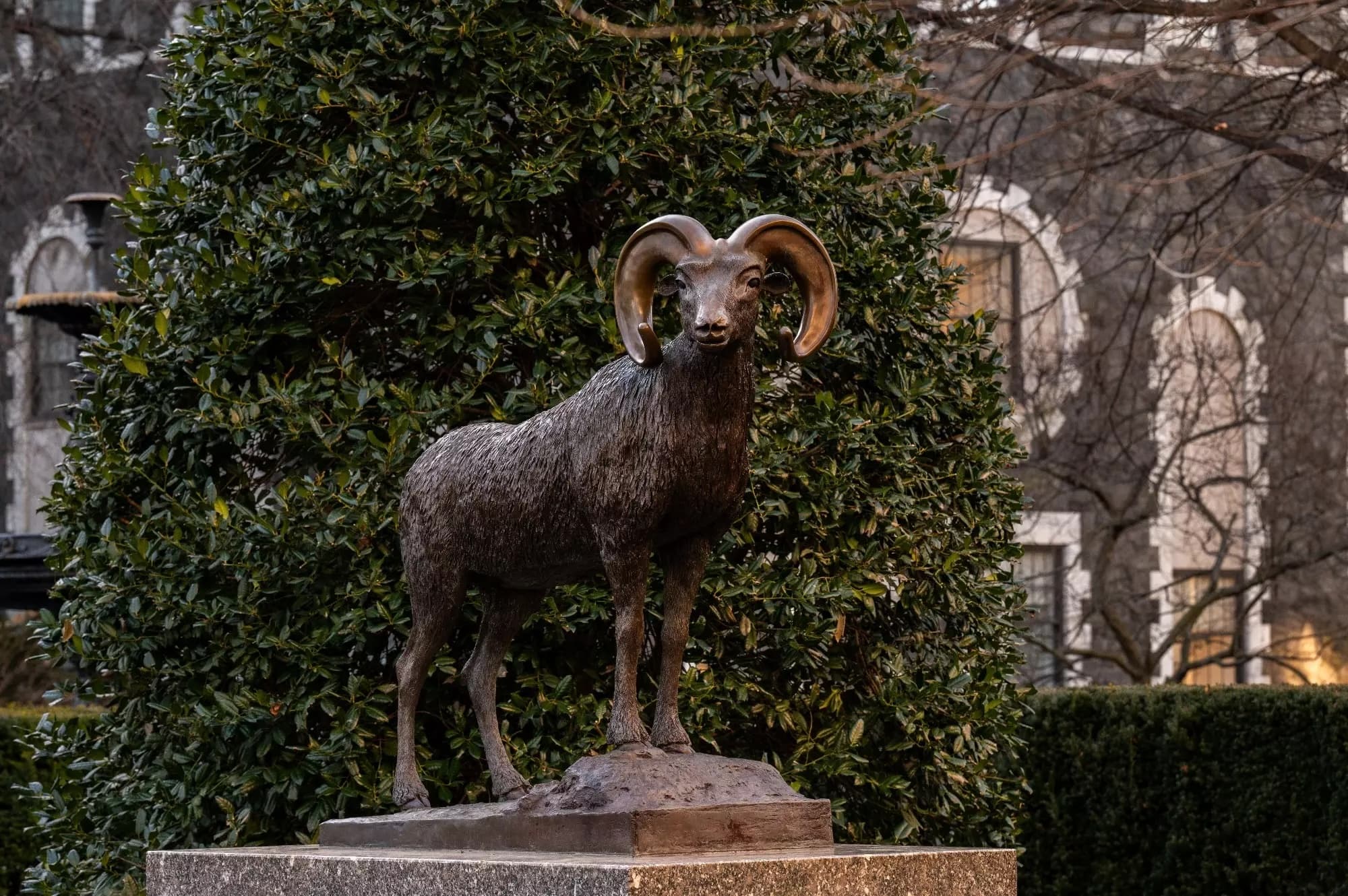 Ram Statue