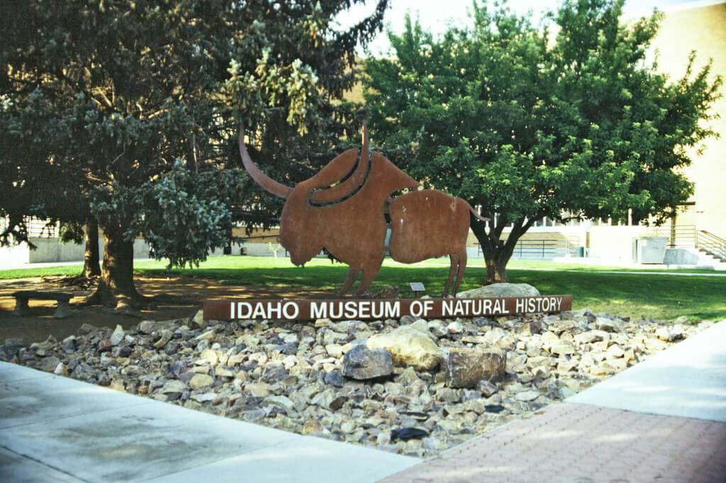 Museum Building