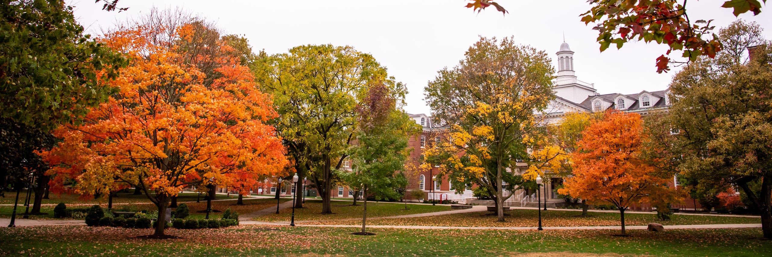 ISU Quad