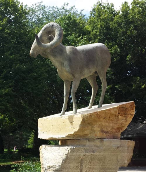 Anderson Sculpture Garden