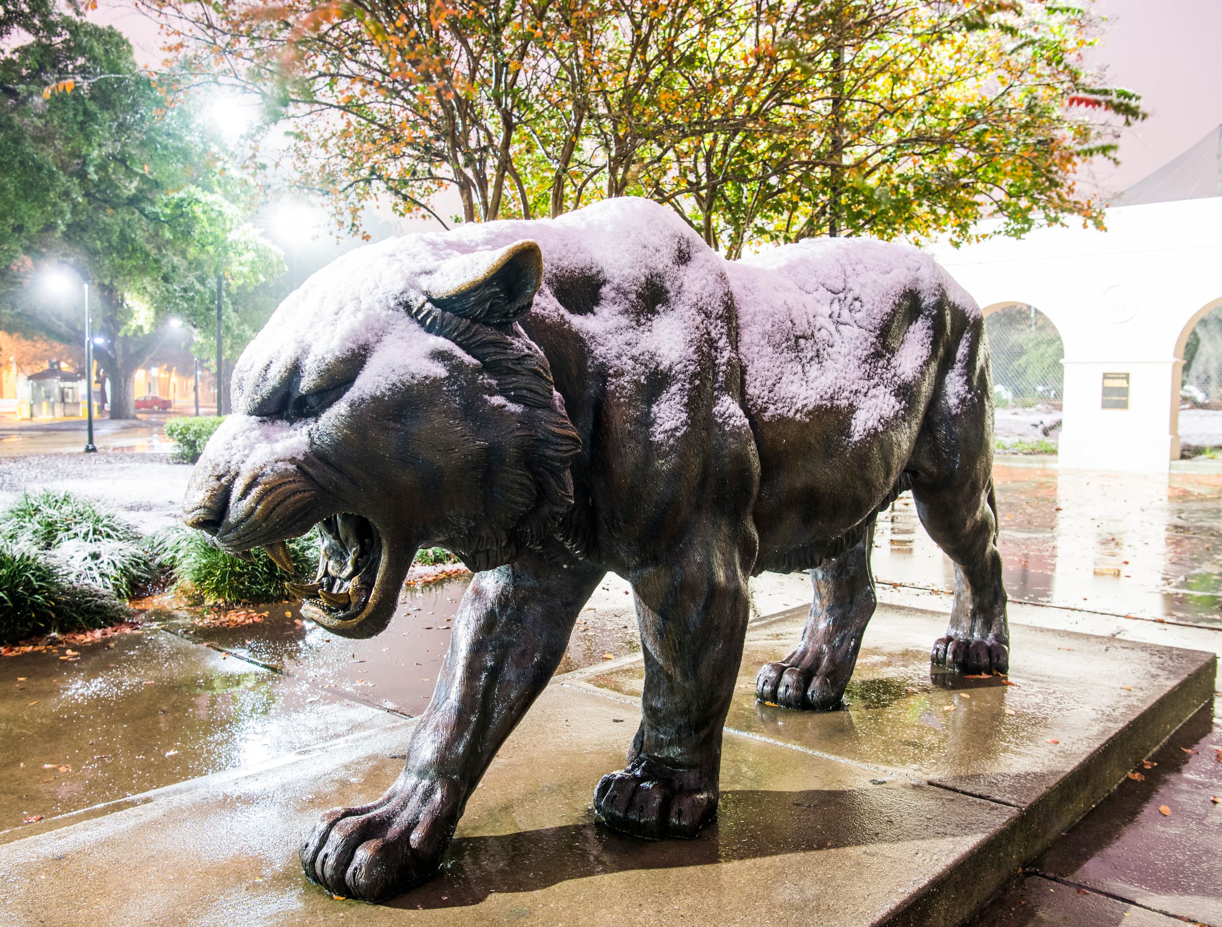 Mike the Tiger Statue