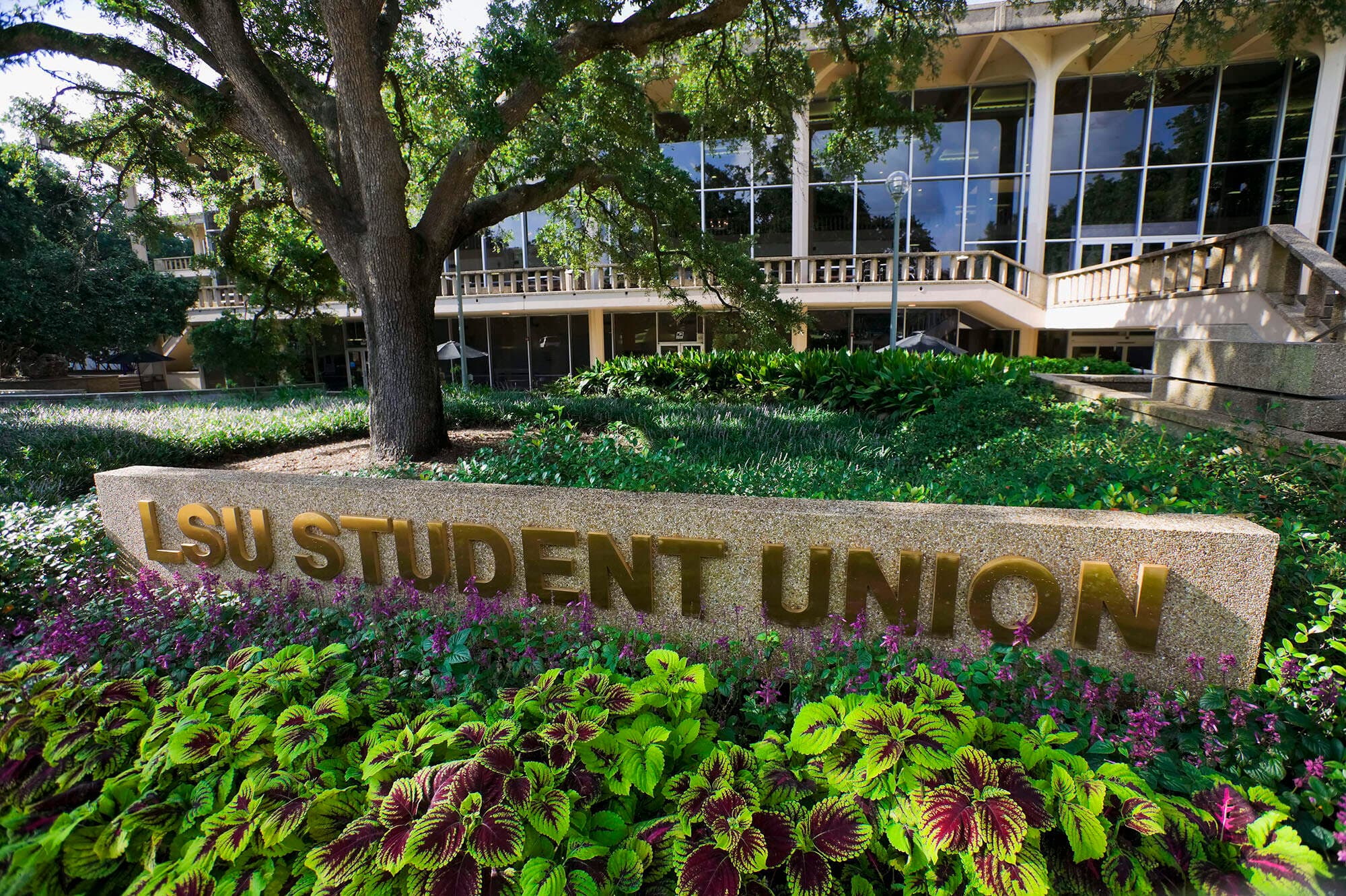LSU Student Union