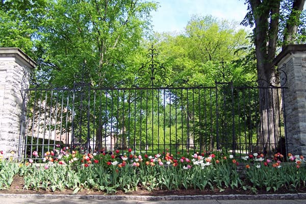 Allen Street Gates