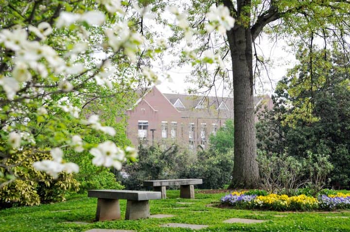 University Greenway