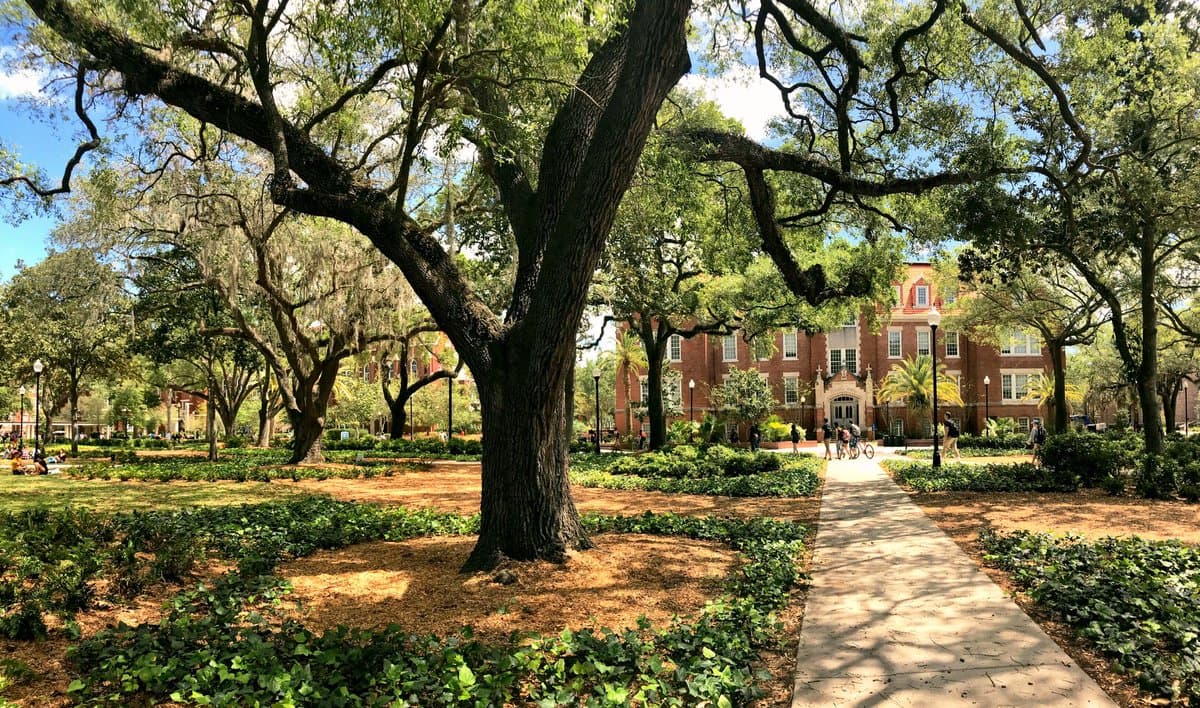 Plaza of the America